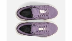 Vans Old Skool Overt Plus CC Purple -SHOOOS SHOP vans old skool overt plus cc vn0005wjzui6