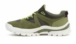 Alternative view of Vans AMZN Trailhead Green